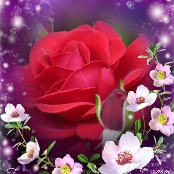 Meet your Posher, Ruth - Picture 1 of 1